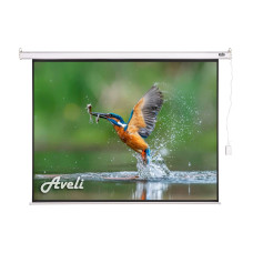 Elektrické projekční plátno AVELI, 240x180 (4:3)