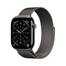 Apple Watch S11 Cell/46/Elegant Band/Slate