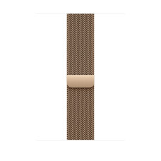 Watch Acc/46/Gold Milanese Loop - M/L